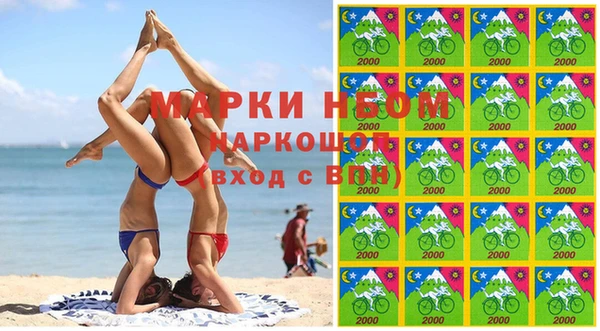 индика Армянск