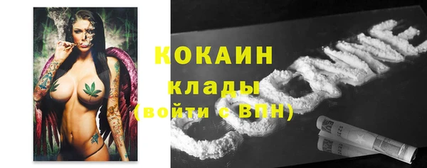 Альфа ПВП Арсеньев