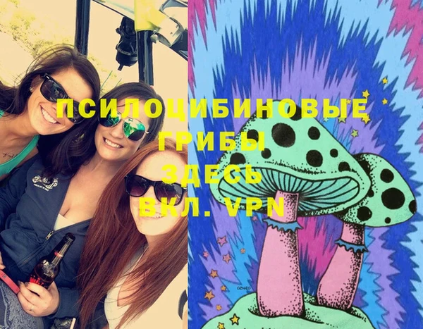 индика Армянск