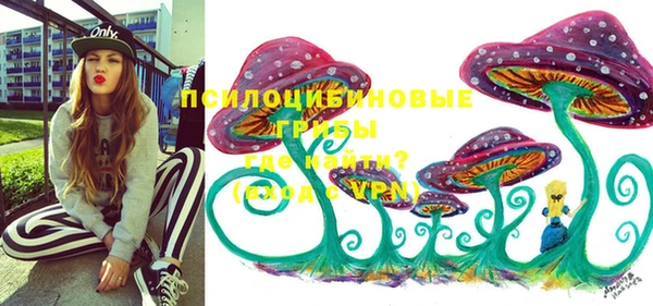 индика Армянск