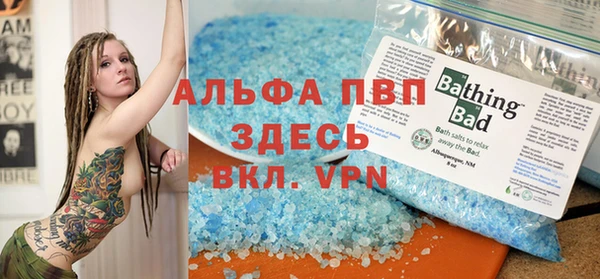 индика Армянск