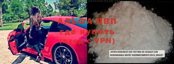 индика Армянск