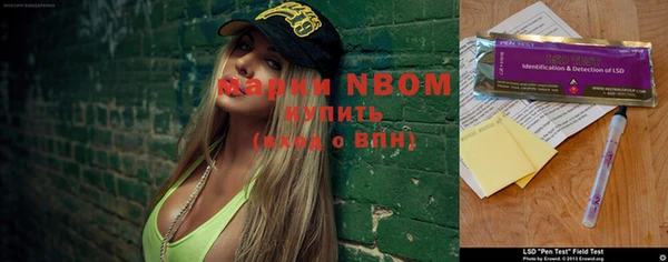 индика Армянск