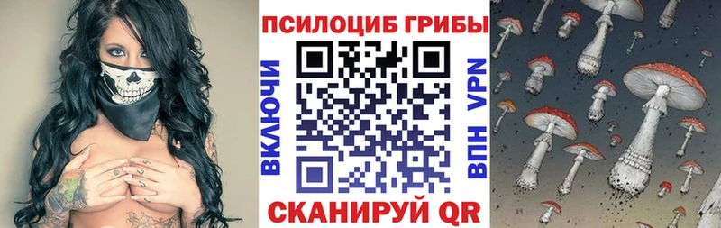 Купить  Нелидово  Псилоцибиновые грибы мицелий 