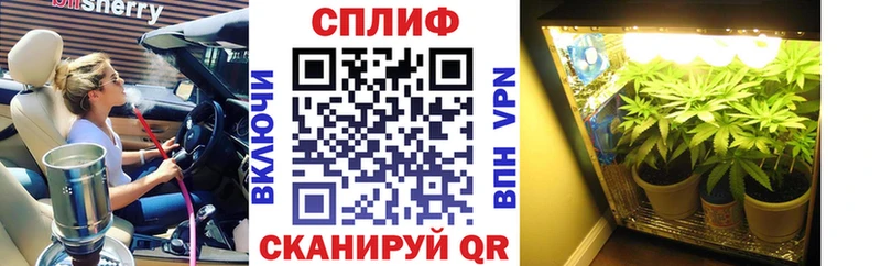Бошки Шишки OG Kush  Купить закладки  Нелидово 